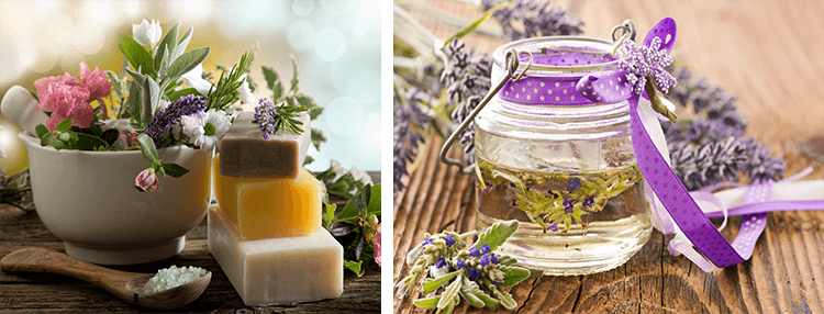 душица и ароматерапия.png душица и ароматерапия.png