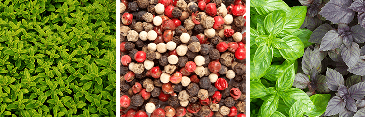 сочетание орегано с пряностями.png сочетание орегано с пряностями.png