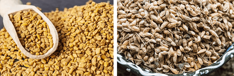 виды пажитника.png виды пажитника.png