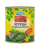 Огурцы маринованные целые (6-9см) ж/б, Южные Дали