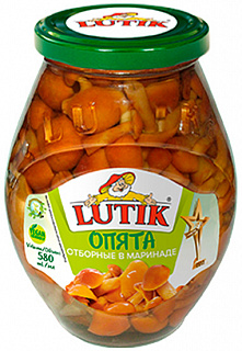 Грибы 580 г опята соленые