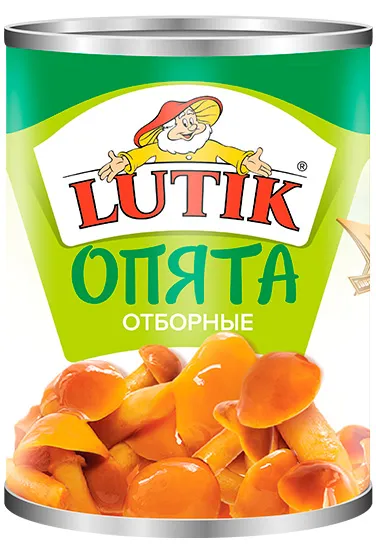 Лесные грибы